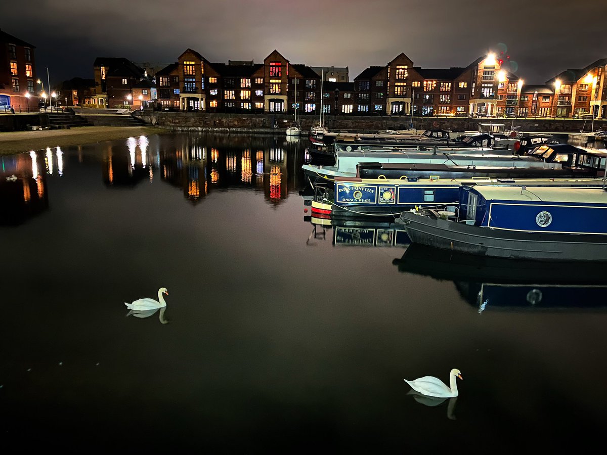 The Swan Lake 🦢🦢