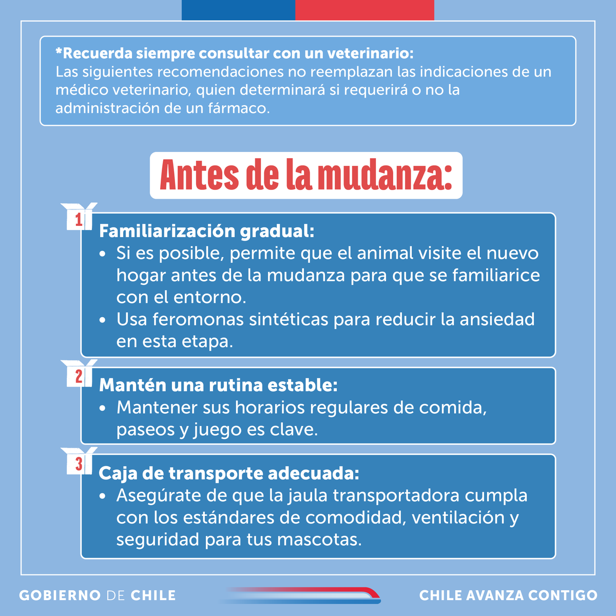 Subdere_Aysen's tweet photo. 📷📷 Mudarte con tu mascota puede ser todo un desafío.
Sigue estos tips para que la adaptación a su nuevo hogar sea más sencilla https://t.co/FePtmPQp3L