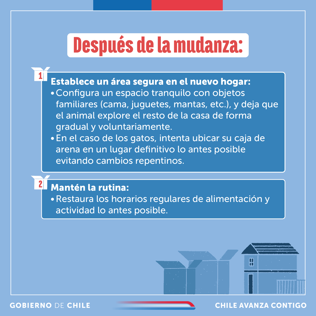 Subdere_Aysen's tweet photo. 📷📷 Mudarte con tu mascota puede ser todo un desafío.
Sigue estos tips para que la adaptación a su nuevo hogar sea más sencilla https://t.co/FePtmPQp3L