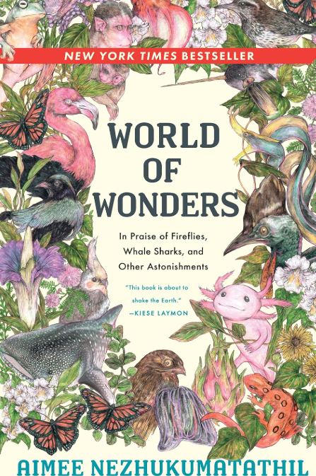 bishop_library's tweet photo. World of Wonders: In Praise of Fireflies, Whale Sharks &amp; Other Astonishments was chosen as the FYE Common Connection Book for Fall 2024.  Access World of Wonders by Aimee Nezhukumatathil on Libby.  Multiple copies of this eBook are available to borrow! https://t.co/CrAAVYpOnY https://t.co/NemexAIcBQ