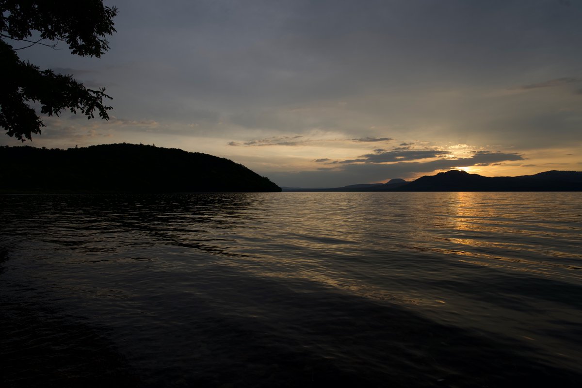 tern_camp tweet picture