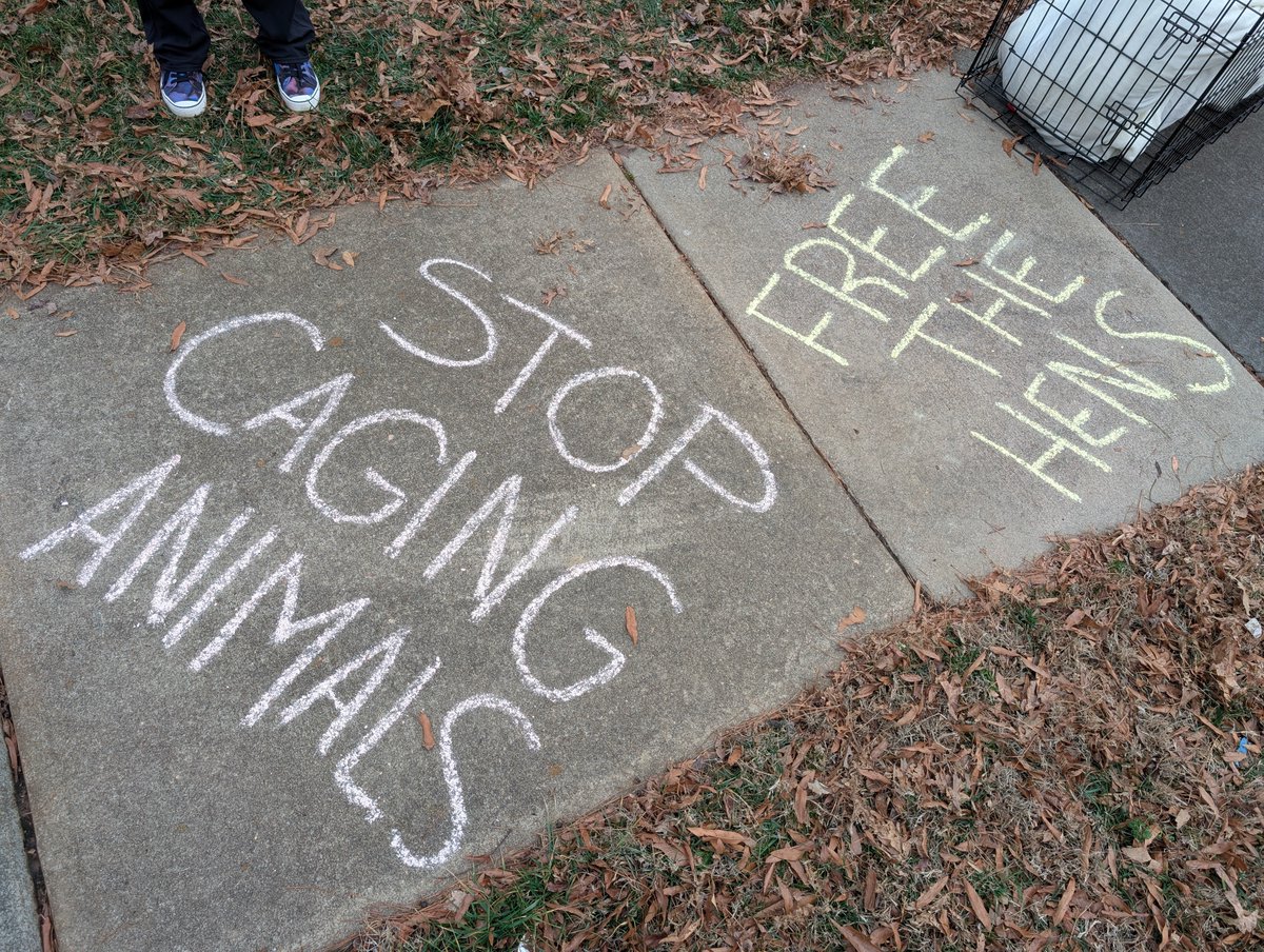TheHumaneLeague's tweet photo. POV: You walk by a @FoodLion 👀