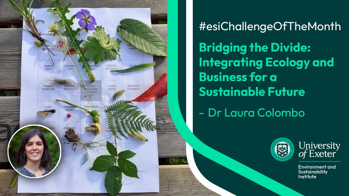 Uni of Exeter's ESI (@uniofexeteresi) on Twitter photo Dr Laura Colombo <a href="/UofEBusiness/">University of Exeter Business School</a> has taken up the next #esiChallengeOfTheMonth. She will discuss what #ecologists and business scholars can learn from each other and how to integrate ecology and #business studies.
exeter.ac.uk/research/insti…
<a href="/UniExeCornwall/">University of Exeter, Cornwall</a> <a href="/UniExeCEC/">University of Exeter CEC</a> <a href="/UofE_Research/">Research at Exeter</a> Dr Laura Colombo <a href="/UofEBusiness/">University of Exeter Business School</a> has taken up the next #esiChallengeOfTheMonth. She will discuss what #ecologists and business scholars can learn from each other and how to integrate ecology and #business studies.
exeter.ac.uk/research/insti…
<a href="/UniExeCornwall/">University of Exeter, Cornwall</a> <a href="/UniExeCEC/">University of Exeter CEC</a> <a href="/UofE_Research/">Research at Exeter</a>