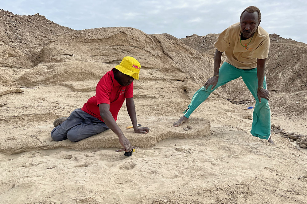 A recent study published in <a href="/ScienceMagazine/">Science Magazine</a> by a research team led by Louise Leakey presents a newly discovered ~1.5-million-year-old fossil footprint site, which offers direct evidence for two extinct human ancestors sharing the same landscape. news.stonybrook.edu/university/fos…