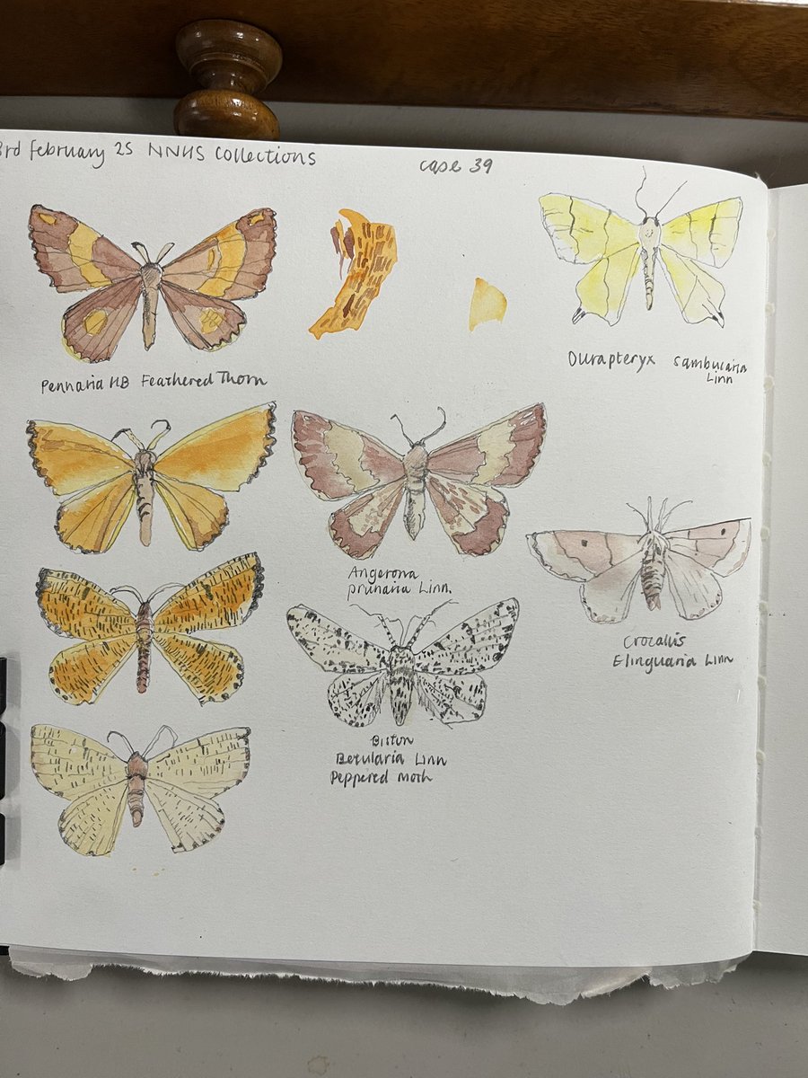 jean edwards tweet media