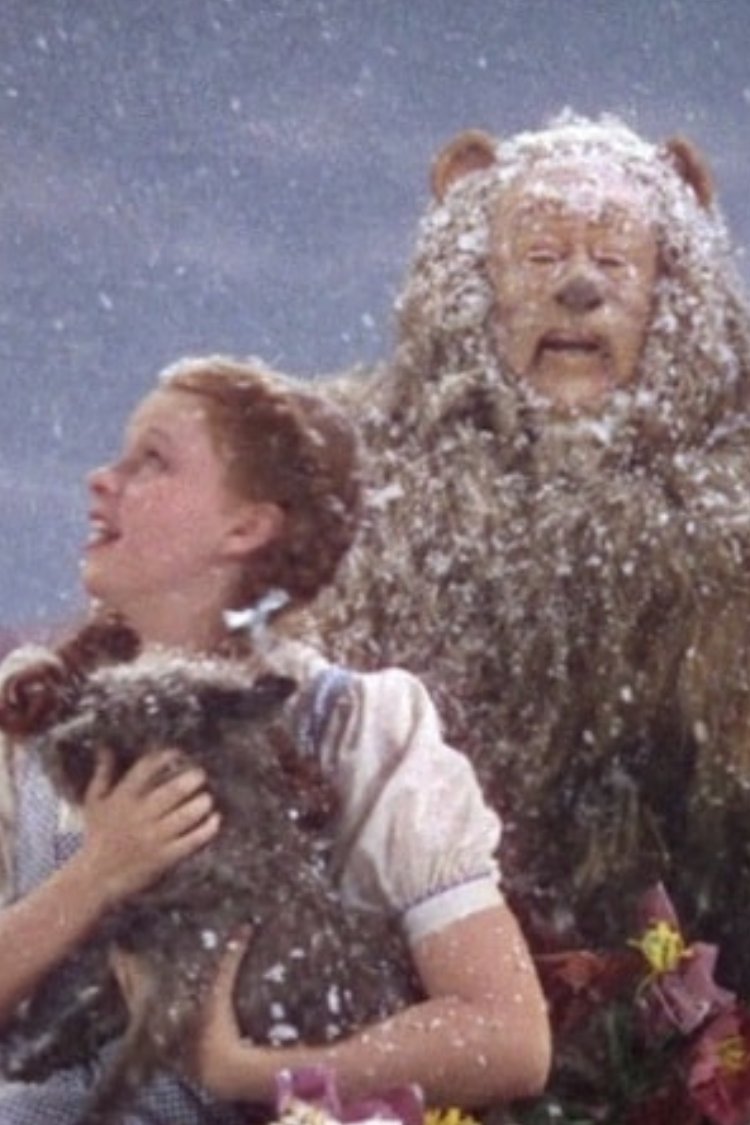 Ever wonder, 'what the heck is asbestos and why should I care?'  Asbestos is connected to the Wizard of Oz and a rock you can find in the ground.

Check out LRAPA's quarterly newsletter for answers and more! t.e2ma.net/message/kgbhji…