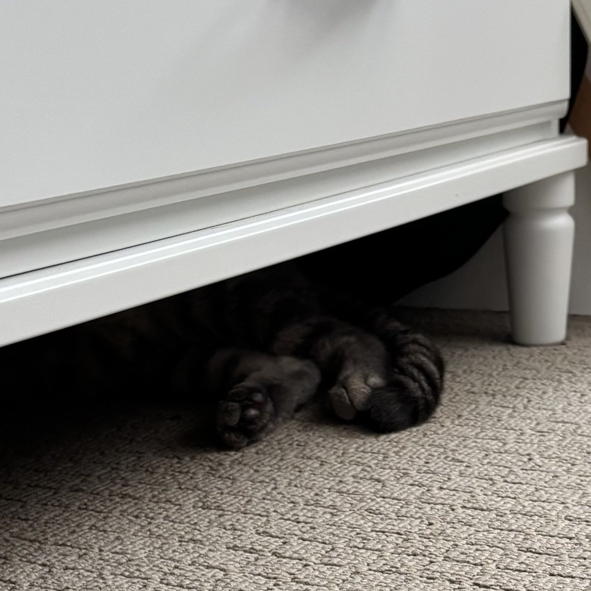 No, Nobody is Here…