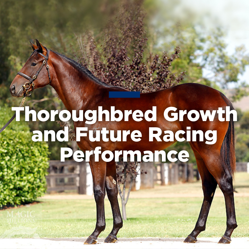 barastoc_racing's tweet photo. What goes into predicting the future success of a growing thoroughbred?
Read our article by @kyequine to find out!
https://t.co/lOT6mhgnxM
#Barastoc #BarastocRacing #EquineNutrition #KER https://t.co/UeQv7iVUjc