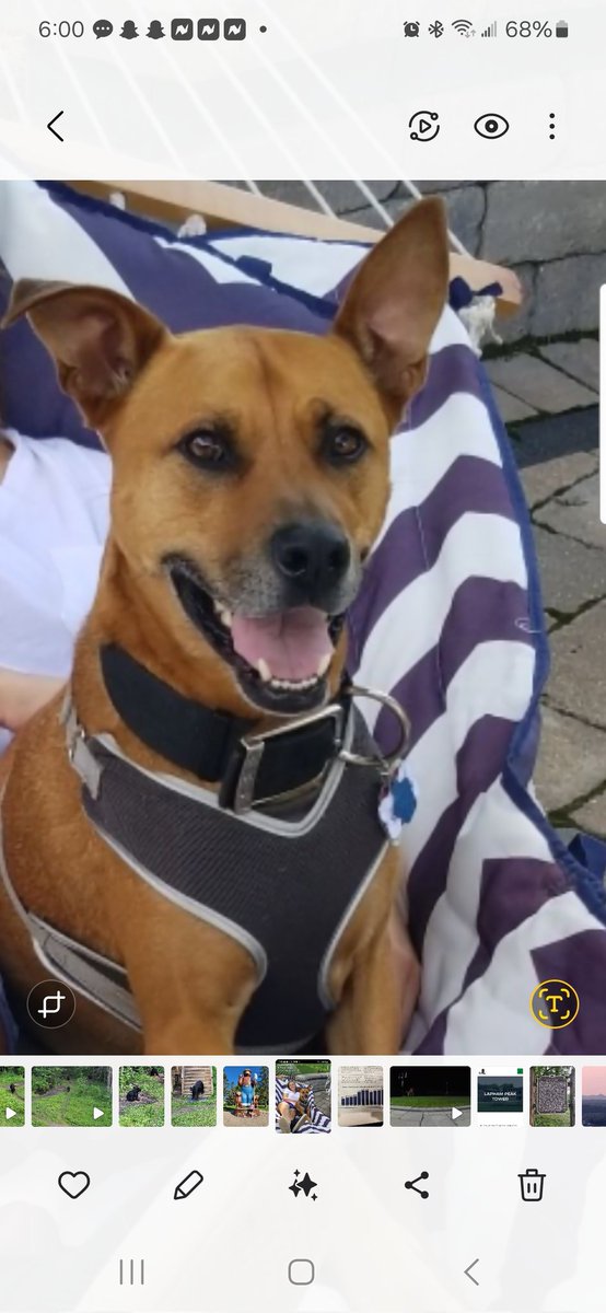 I've been in very poor health and today is my last day, but that's ok. I HAD THE BEST LIFE THAT I COULD EVER IMAGINE  BECAUSE I HAD THE BEST MOMMY!! THANK YOU MOMMY ASH! I'LL ALWAYS LOVE YA.