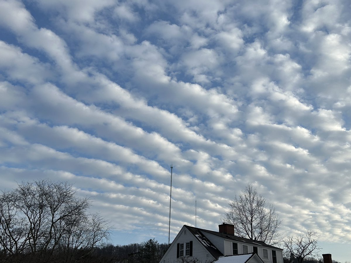 LewisWalpoleLibrary tweet media