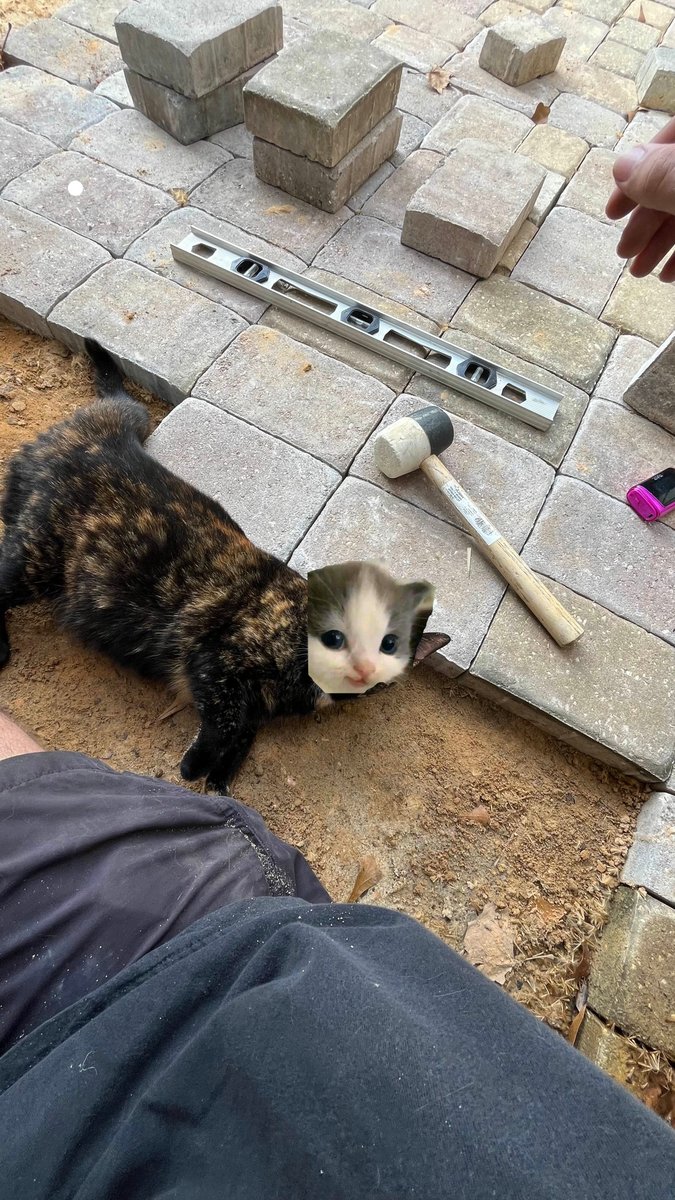 $hehe hard at work today... hehe to the moon