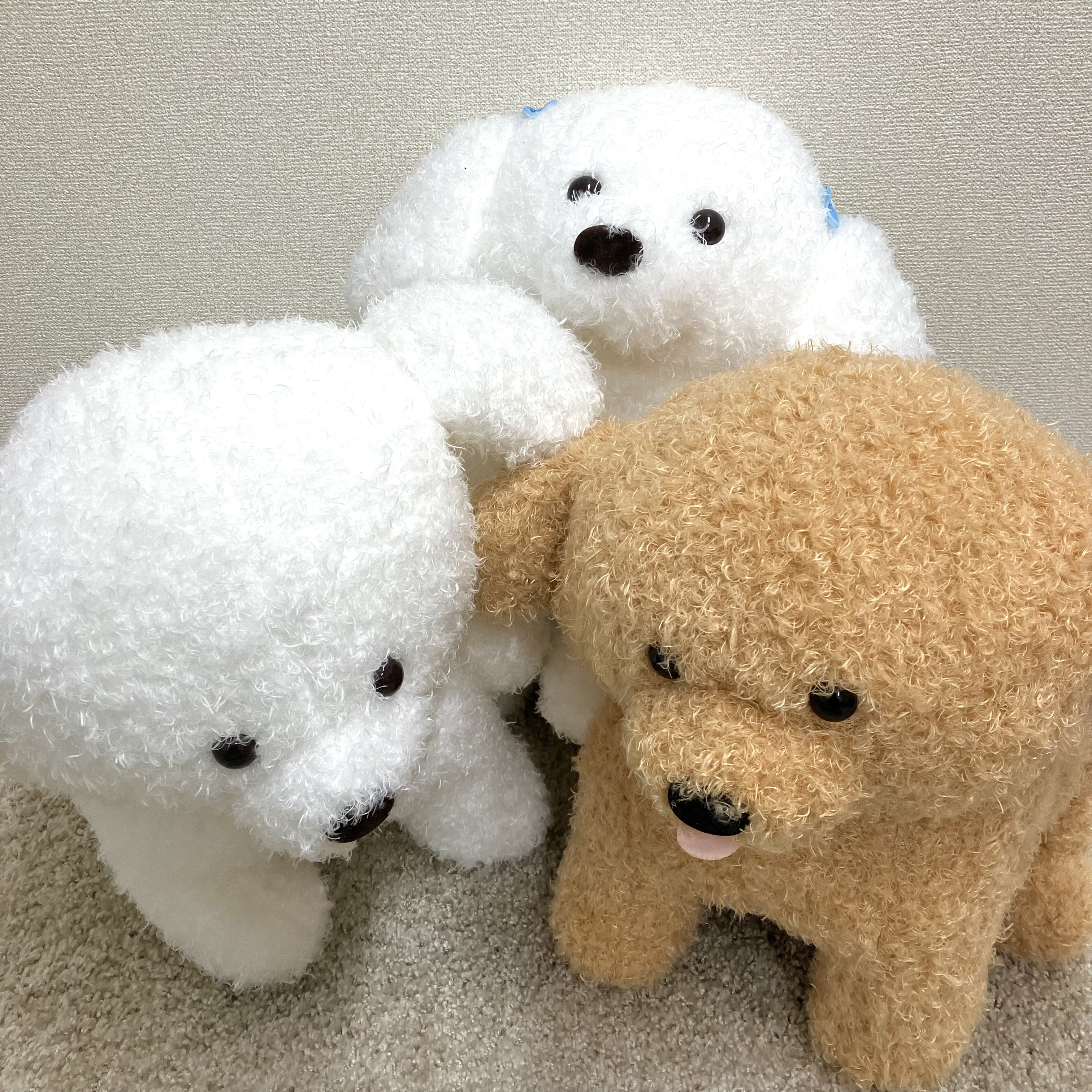 Amazon.co.jp: マザーガーデン とことこおさんぽプードルちゃん