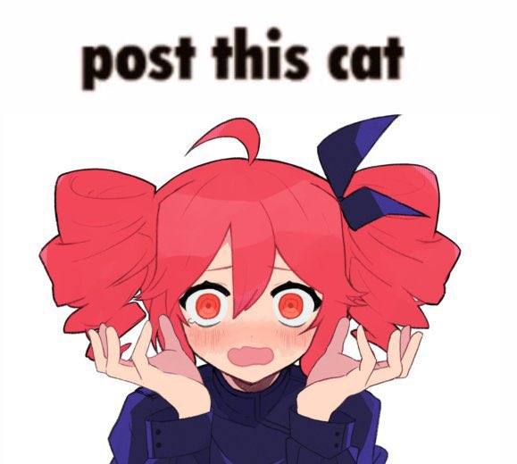 bz (@soarbz) on Twitter photo 