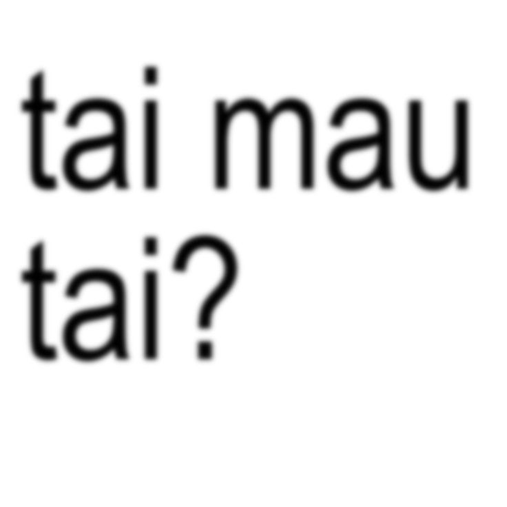 eyeeen. 😼 tweet media