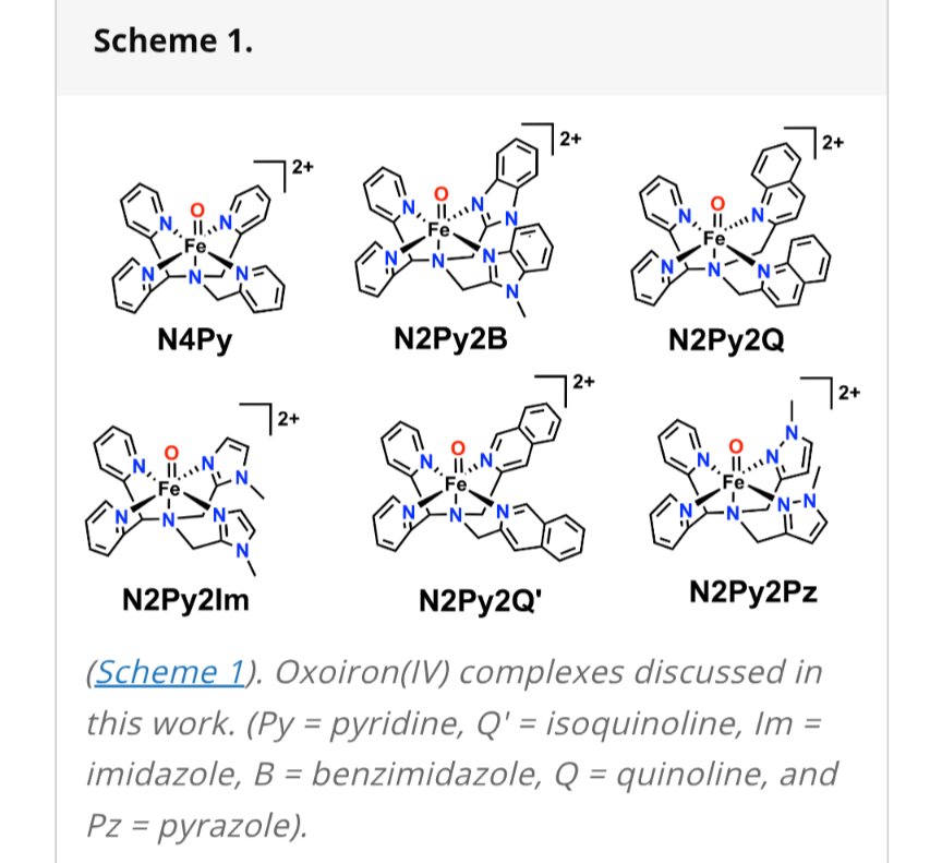 Another one from the Que lab.  5,000-fold increase in the HAT with Pyrazoles. Que lab journey from N4Py to N2Py2Pz in PNAS.  Thank you Marcel and <a href="/MossbauerLab/">Alex Guo</a>
 <a href="/UMNChemistry/">UMN Department of Chemistry</a> <a href="/PNASNews/">PNASNews</a>
#larryQue
pnas.org/doi/10.1073/pn…