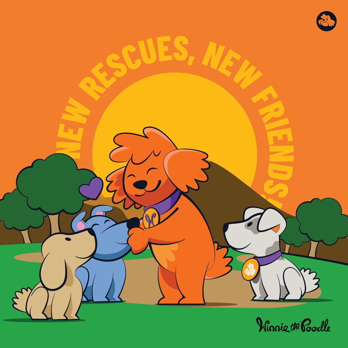 Winnie The Poodle tweet media