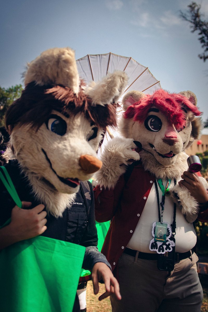 👑FurroFest™ tweet media