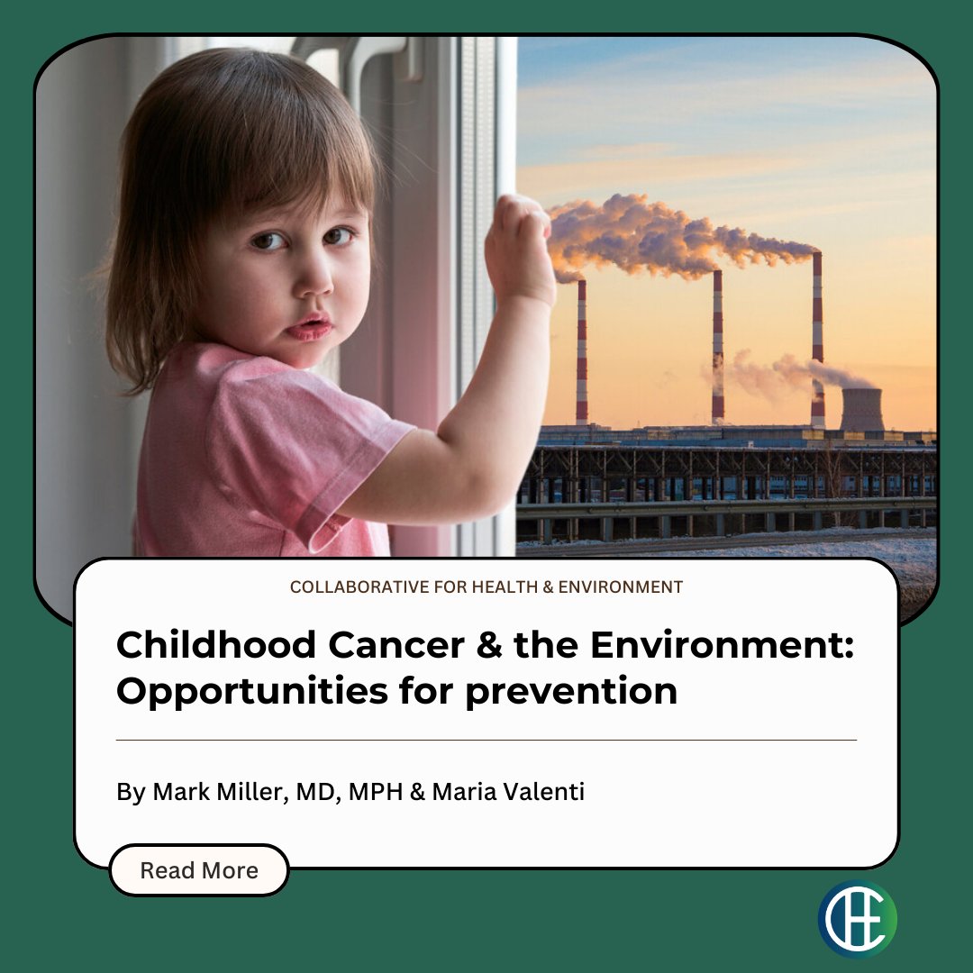 CHE_healthenv's tweet photo. In our latest blog post, Dr. Mark Miller, MD, MPH &amp; Maria Valenti dive into the factors that raise &amp; lower cancer risk for children - &amp; highlight educational materials on prevention strategies for health professionals at all levels.

Read the blog here: https://t.co/qXDVXOjPO9 https://t.co/66y2OseieY