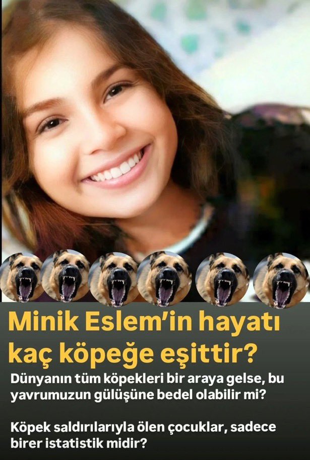 Köpek Terörünü Destekleyen Belediyelere

KAYYUM ! 

#esleminkatilleritutuklansın 
<a href="/AliYerlikaya/">Ali Yerlikaya</a> <a href="/_cevdetyilmaz/">Cevdet Yılmaz</a> <a href="/tcbestepe/">T.C. Cumhurbaşkanlığı</a> <a href="/TC_icisleri/">T.C. İçişleri Bakanlığı</a> <a href="/AYMBASKANLIGI/">Anayasa Mahkemesi</a> <a href="/EmniyetGM/">Türk Polis Teşkilatı</a> <a href="/RTErdogan/">Recep Tayyip Erdoğan</a>
