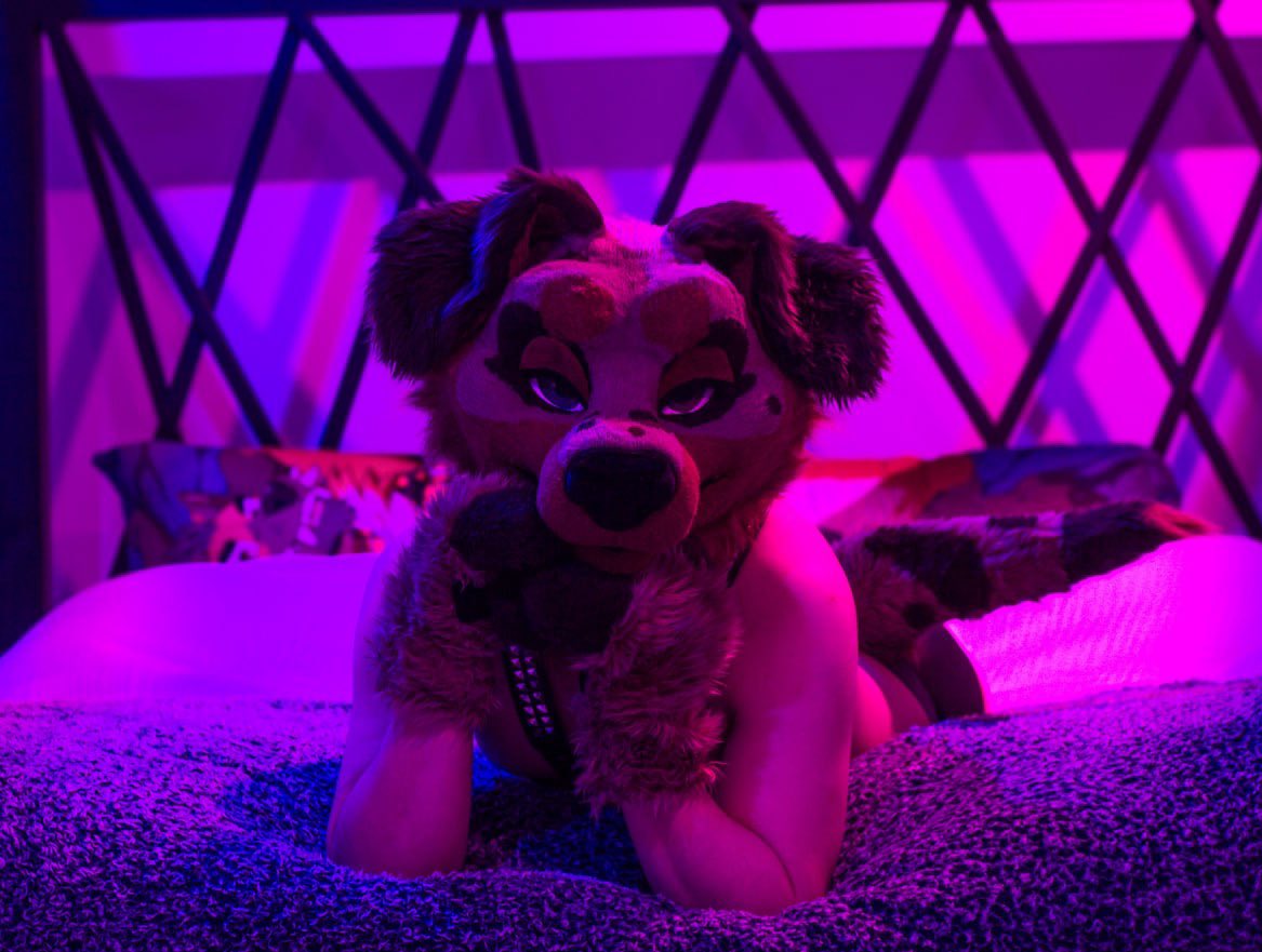 weinerdoggo's tweet image. Awww do you have to go so soon, why not stay just a bit longer, I’ll make it worth your while~

📷 @BuckWithKey