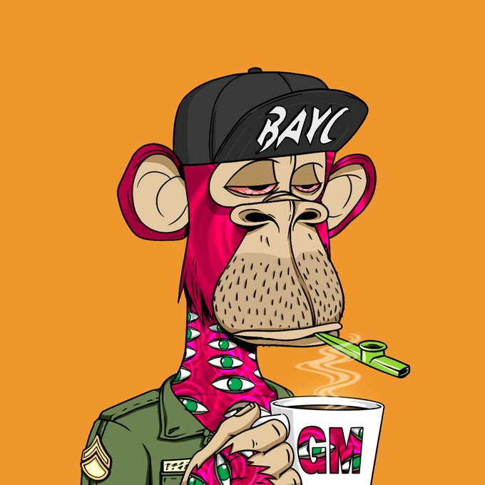 LoLo 🍌 tweet media