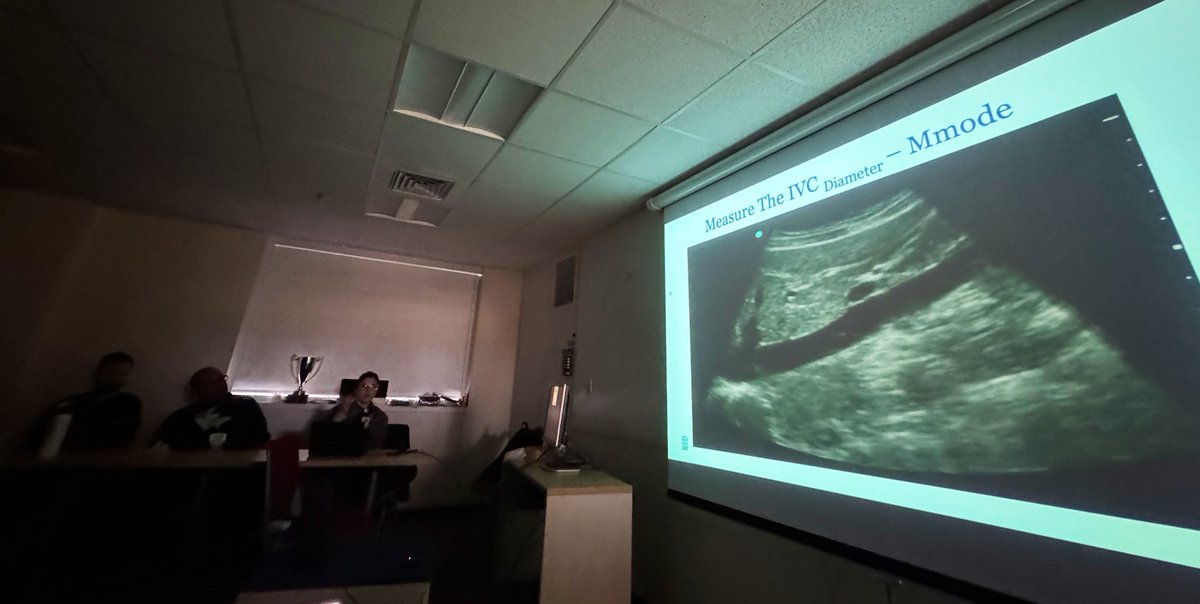 POCUS for Neurocritical Care Fellows

#POCUS #MedEd #NeurocriticalCarePOCUS