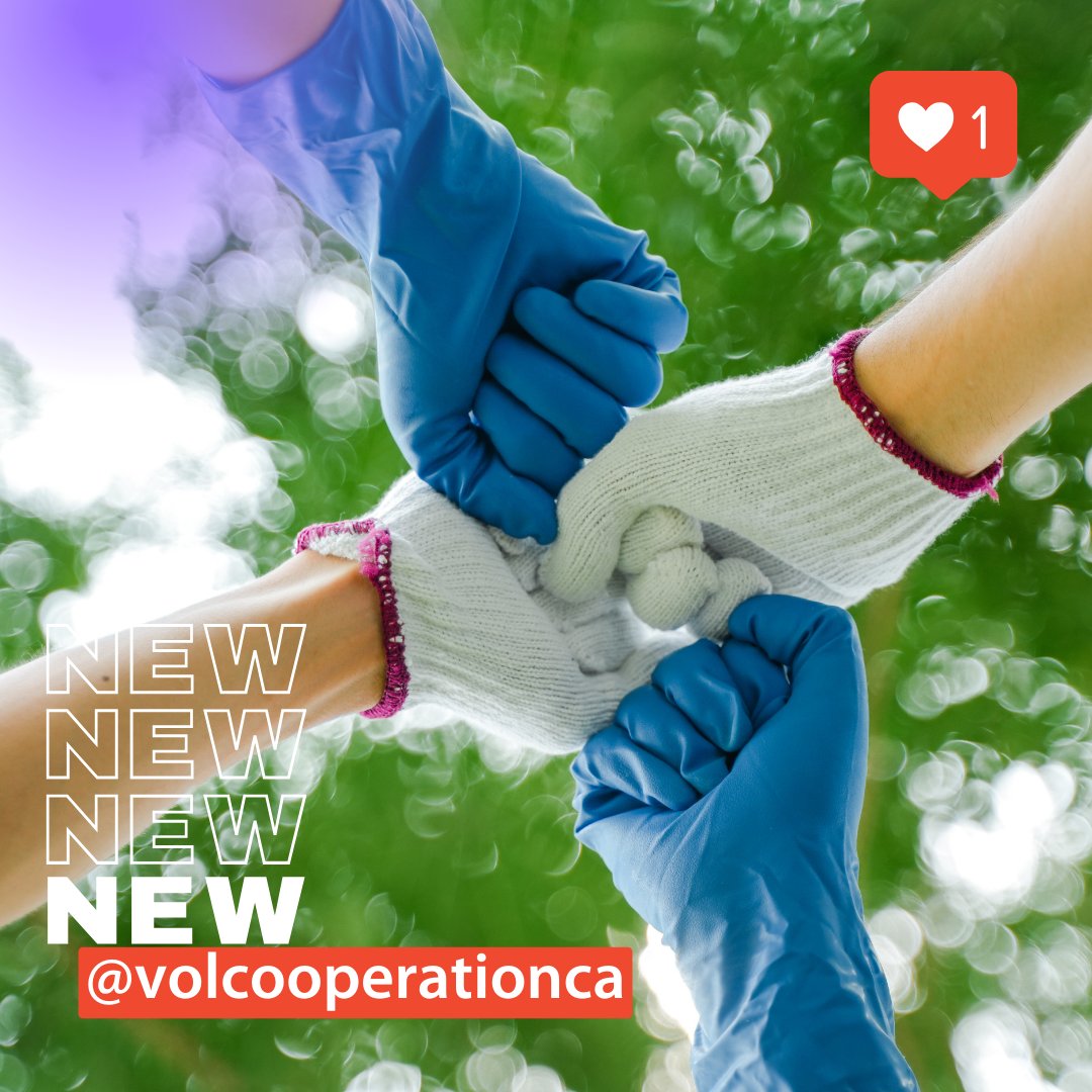 Veterinarians Without Borders tweet media