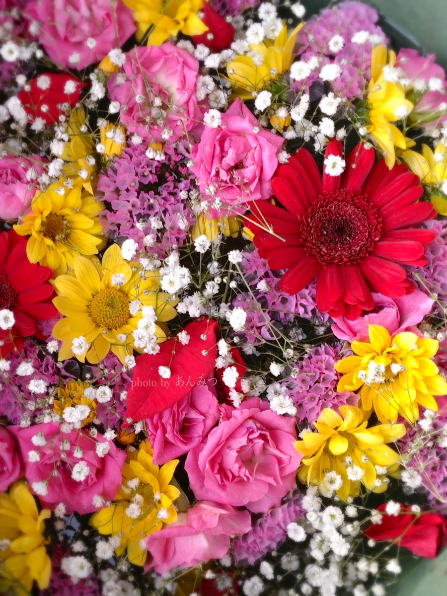 BiDwVv7B2Uh5VYR's tweet photo. ご挨拶が遅くなりました🫧 ͛.*

今月も
よろしくお願いします♡
                                    #花手水 https://t.co/VClQH01YhL