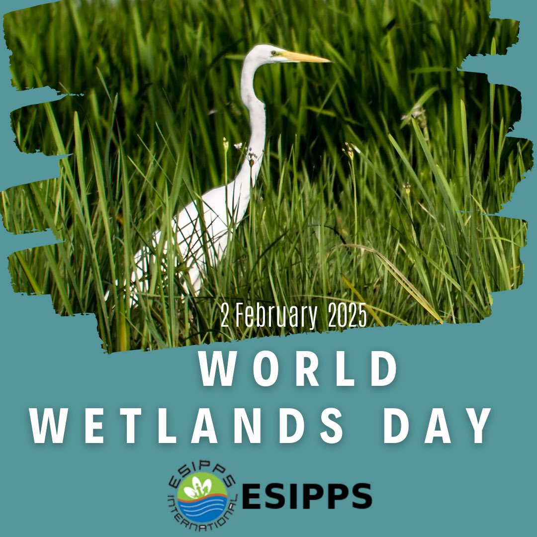 🌿 Celebrating International Wetlands Day! 

At ESIPPS International, we are committed to wetland conservation and sustainable management to protect these crucial ecosystems for future generations.

Let’s act for wetlands and safeguard our planet’s future! 🌍

#WorldWetlandsDay
