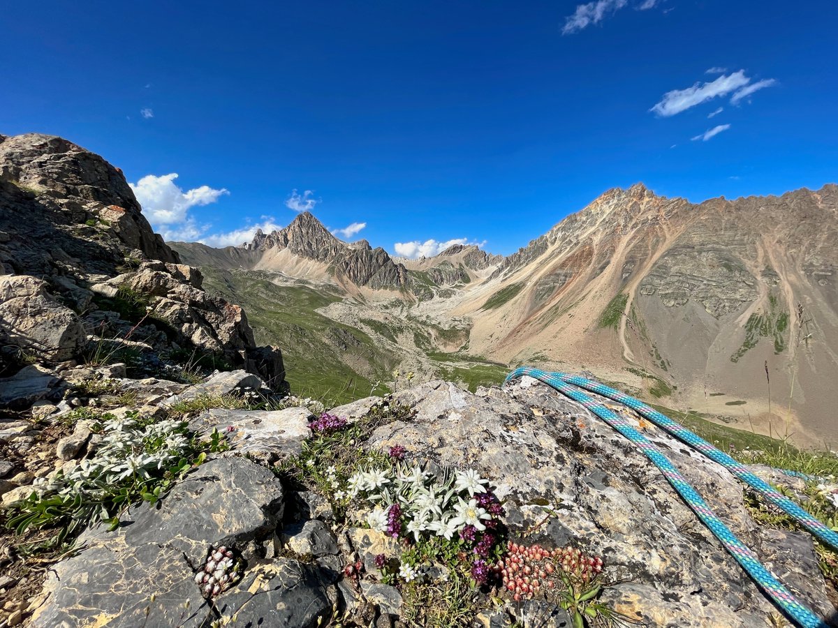 gillespaveau's tweet photo. Alpi - Les arêtes de la Bruyère - Summer 2023 #Cerces #Alpes https://t.co/7TlNbBcHgE