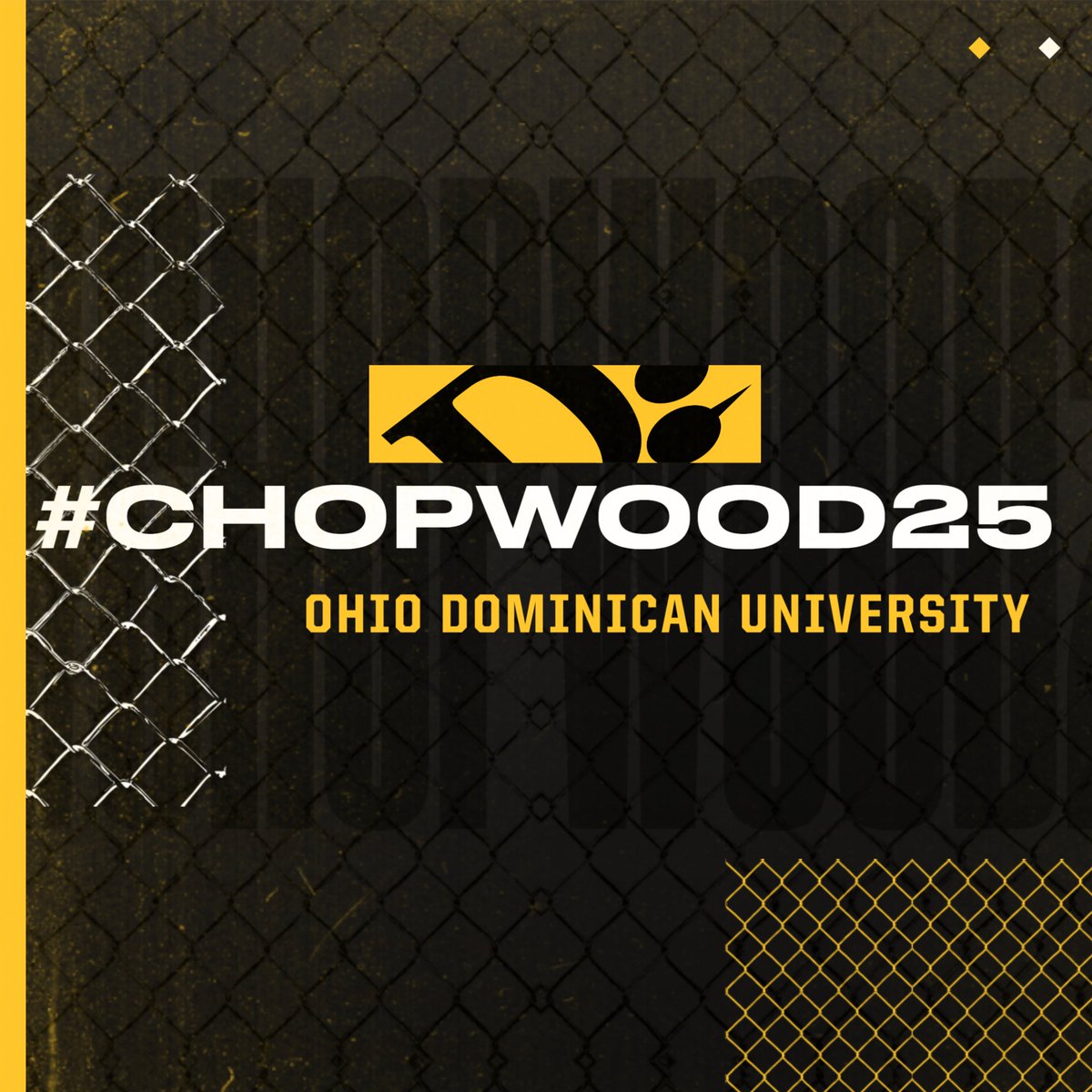 We can not wait to introduce our new signees, this class is SPECIAL!!!

#CHOPWOOD25