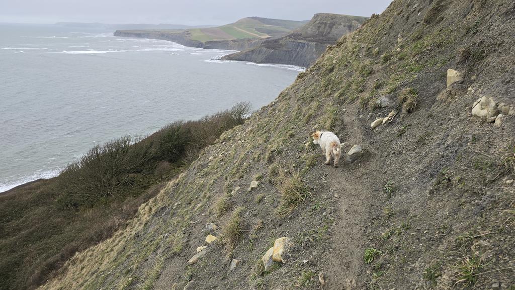 Jamie warren tweet media