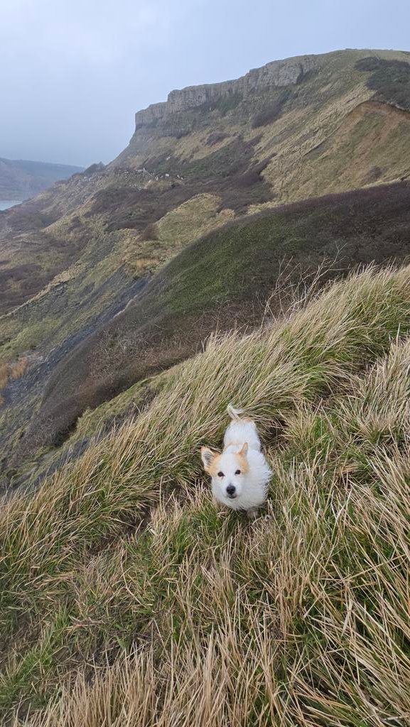 Jamie warren tweet media