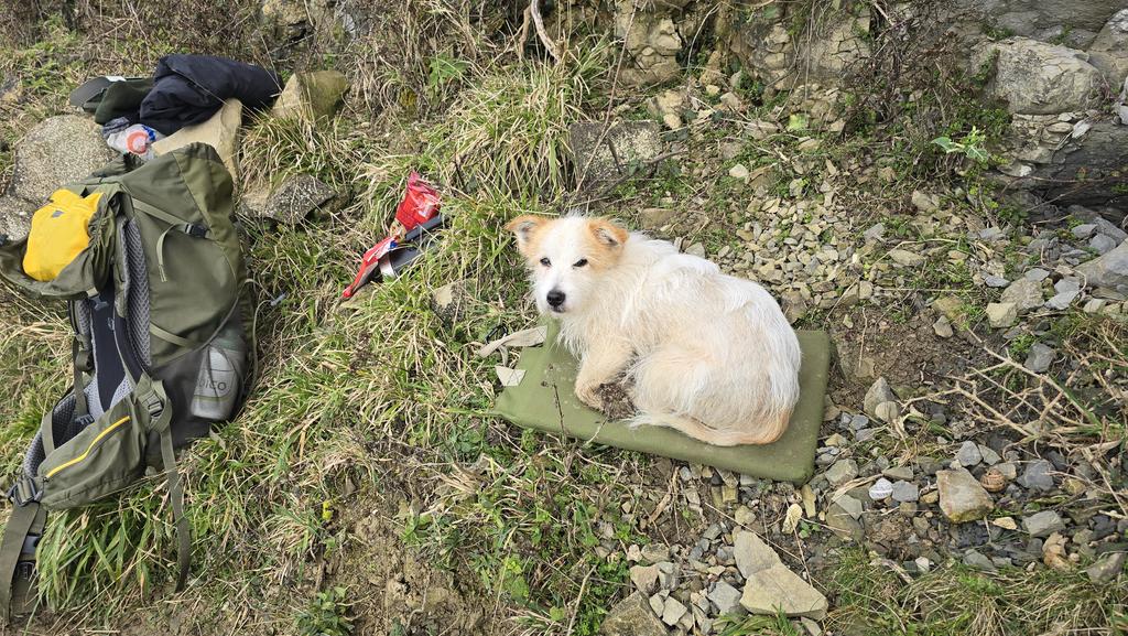 Jamie warren tweet media