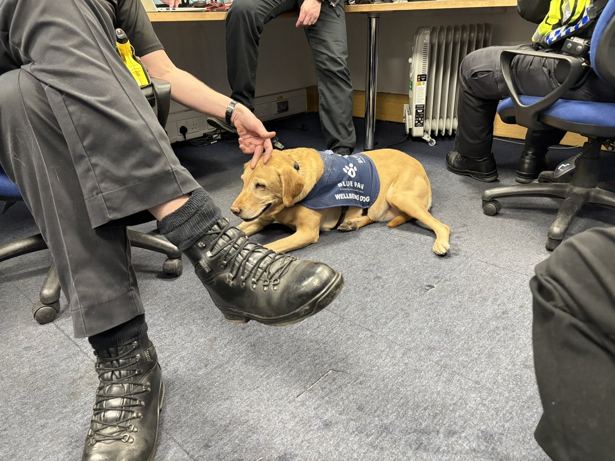@BluepawWB (@bluepawwb) on Twitter photo 🦮Dog and Donuts 🍩
An afternoon helping with wellbeing and conversations today British Transport Police Croydon, officers and staff have had a high level of traumatic incidents over the last few weeks so it’s been good to provide them a set of paws <a href="/BTP/">British Transport Police</a> #wellbeing 🦮Dog and Donuts 🍩
An afternoon helping with wellbeing and conversations today British Transport Police Croydon, officers and staff have had a high level of traumatic incidents over the last few weeks so it’s been good to provide them a set of paws <a href="/BTP/">British Transport Police</a> #wellbeing