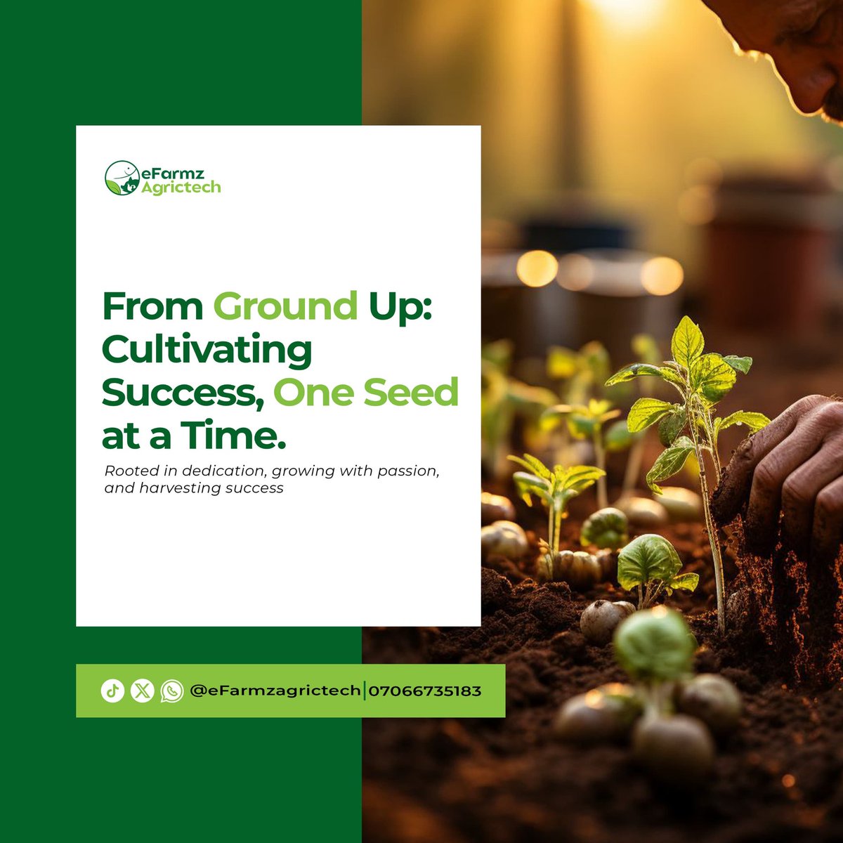 eFarmzAgrictech's tweet photo. We're rooted in the Nigerian community, growing with passion, and harvesting success together.  Connect with us to learn more about sustainable farming practices! #SupportLocalFarmers #Farming #Nigeria #eFarmz🌱 https://t.co/s2t9HkKOHv