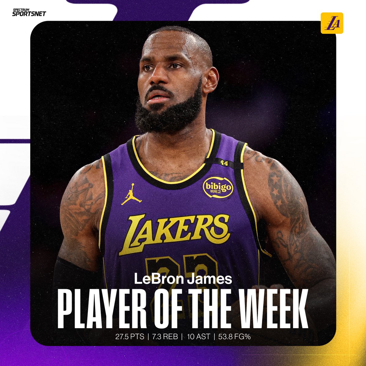 lebron james spectrum