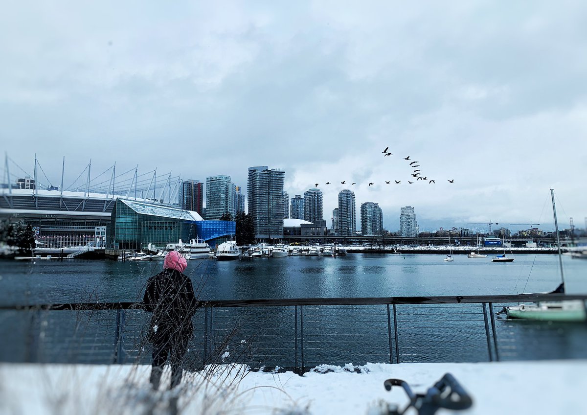 Took a walk in #Vancouvers first snow fall of the year &amp; spotting these 3 winning snow sculptures. What have you seen out there? ❄️☃️❄️  #shareyourweather #snowman
