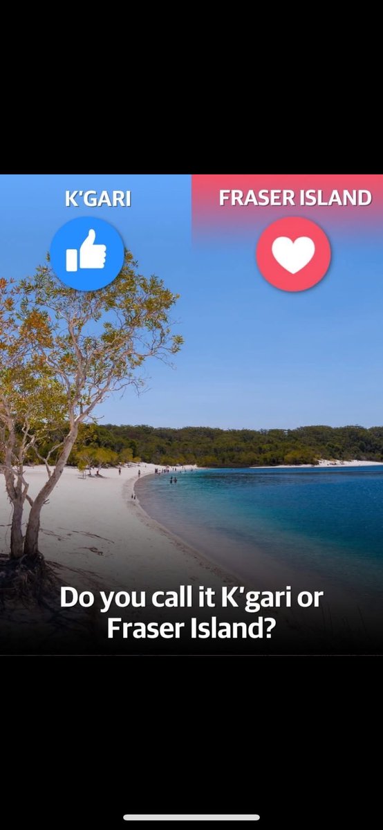 Australian 🇦🇺 tweet media