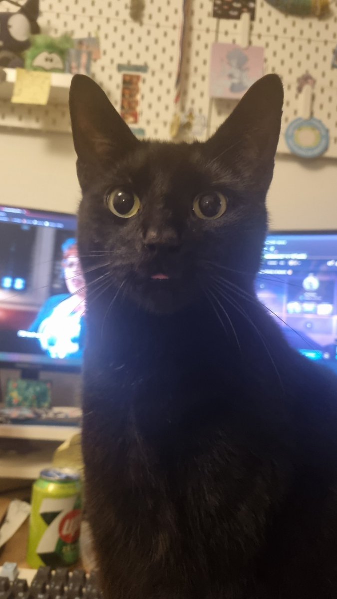 mlem