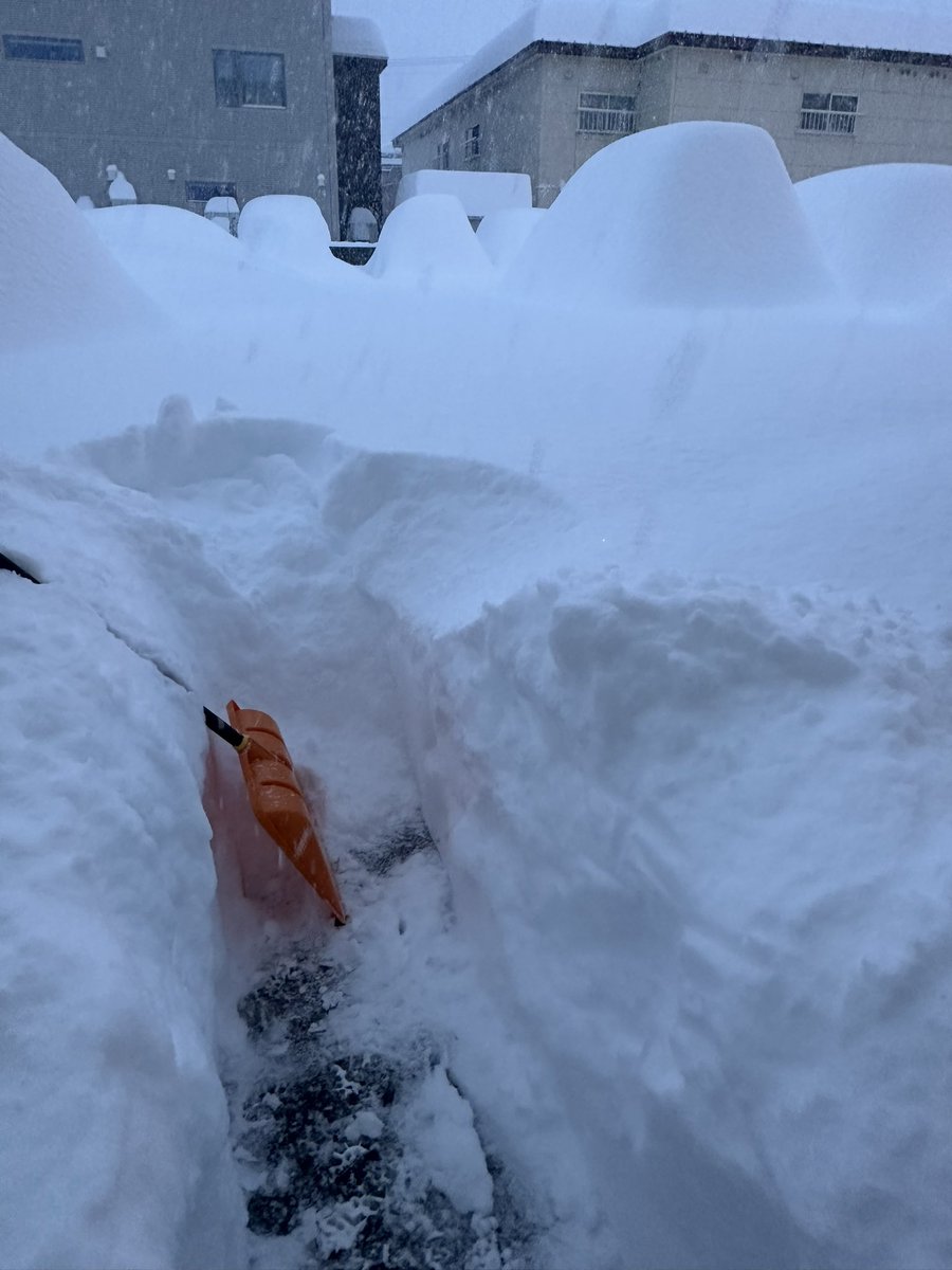 うおおお、
80cm積もってまだめちゃ降ってるー😂