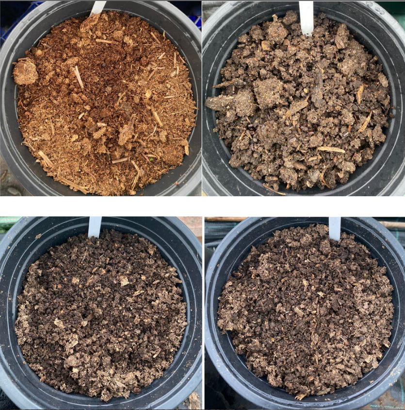 NEW: Evaluating the performance of humanure as a potting mix for lettuce (Lactuca sativa) seedlings

acsess.onlinelibrary.wiley.com/doi/10.1002/ua…
