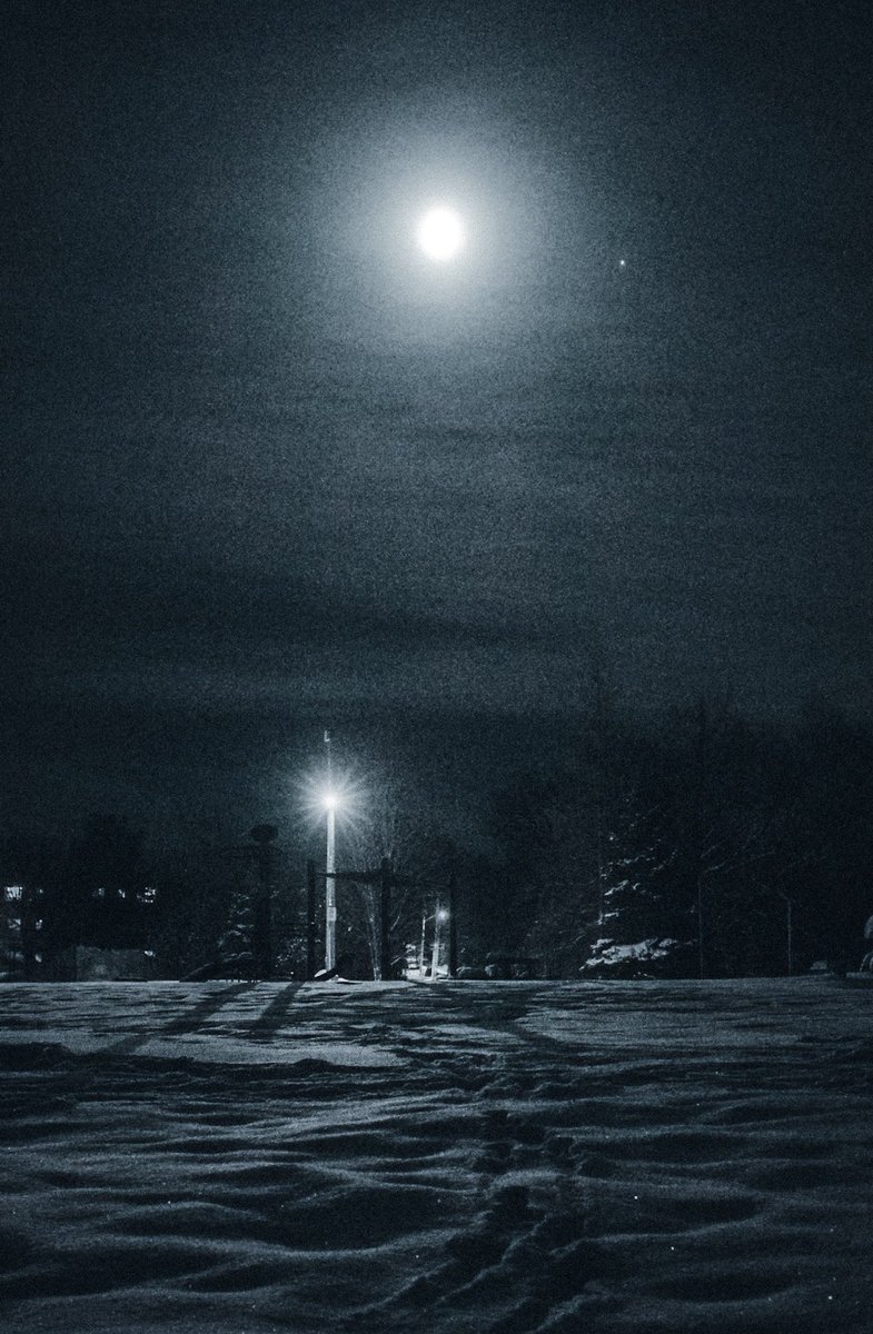 Loki Highlock tweet media