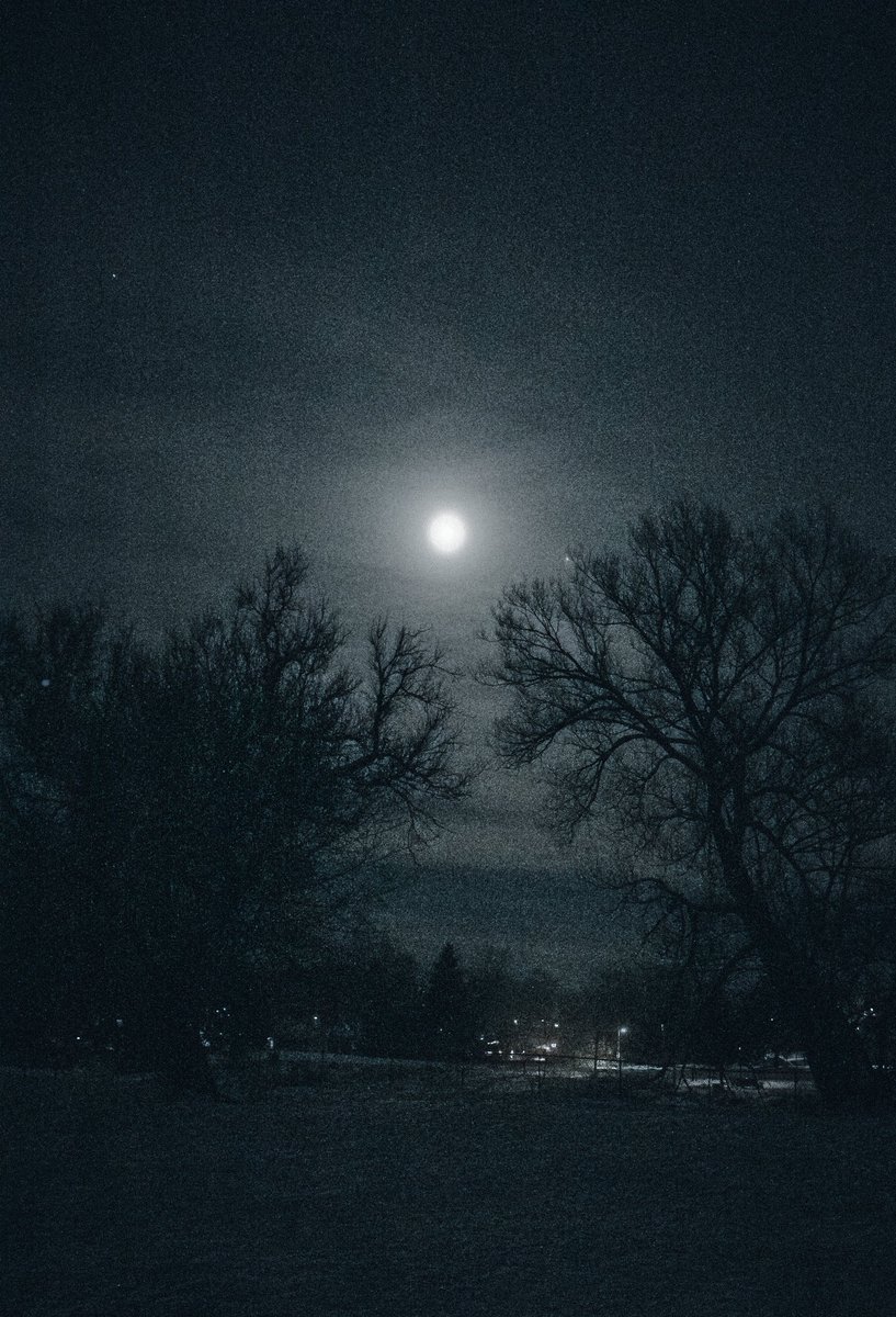 Loki Highlock tweet media