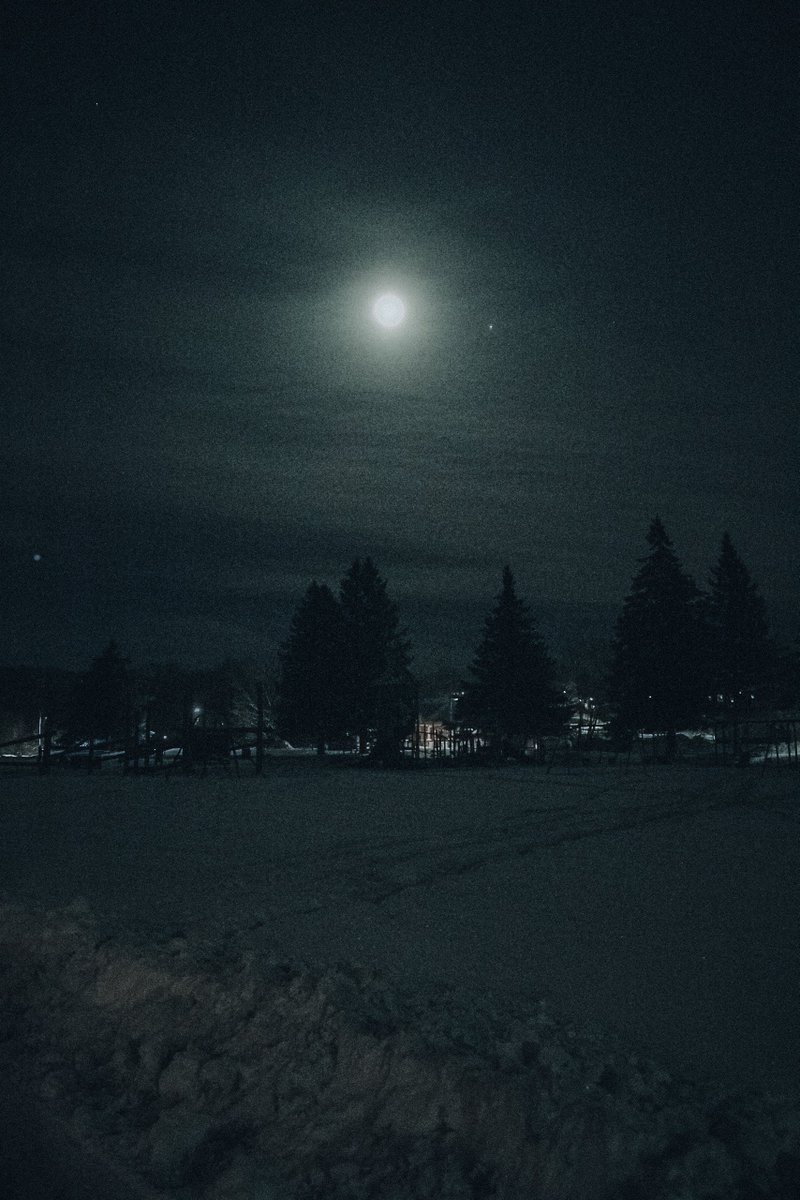 Loki Highlock tweet media