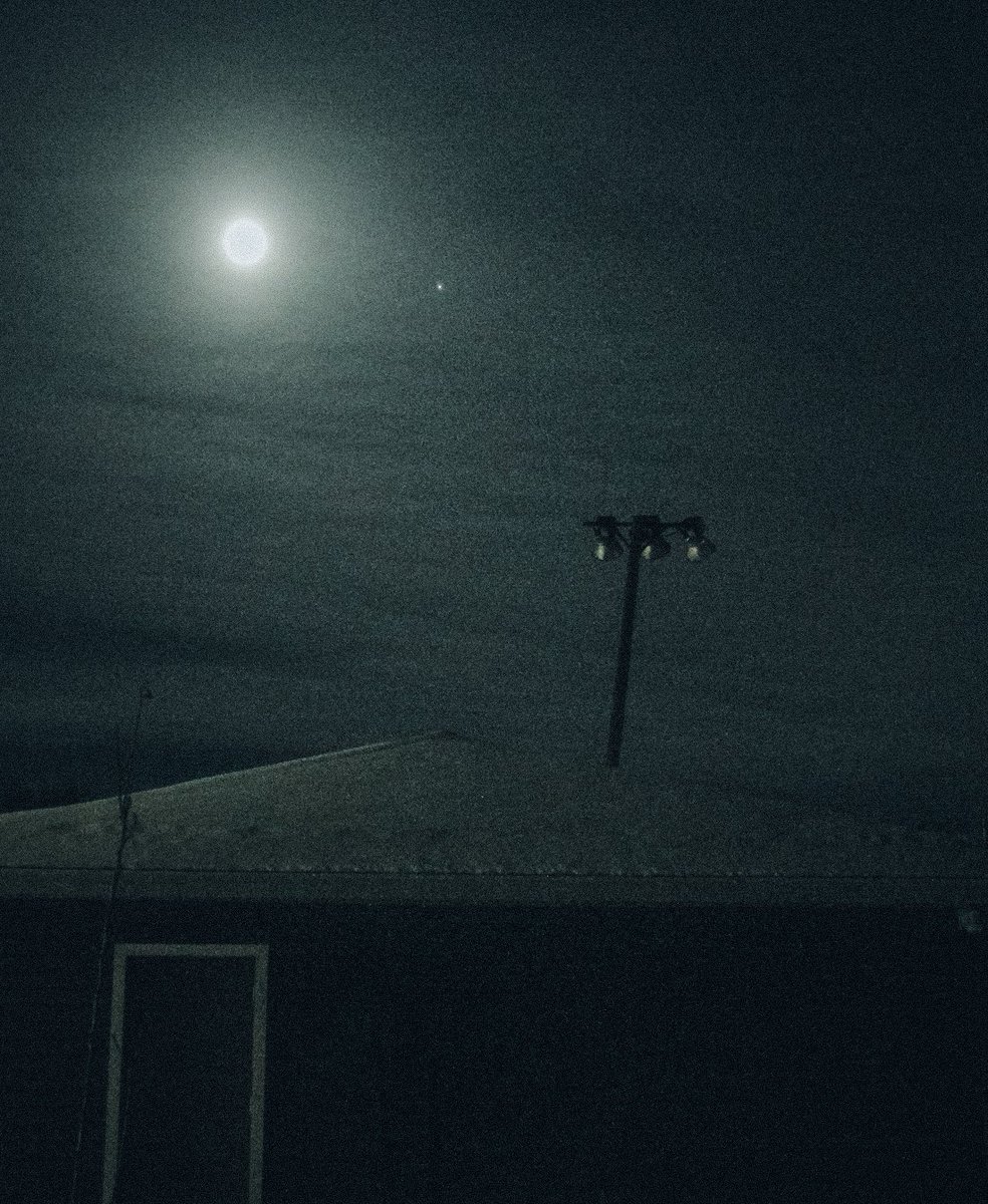 Loki Highlock tweet media