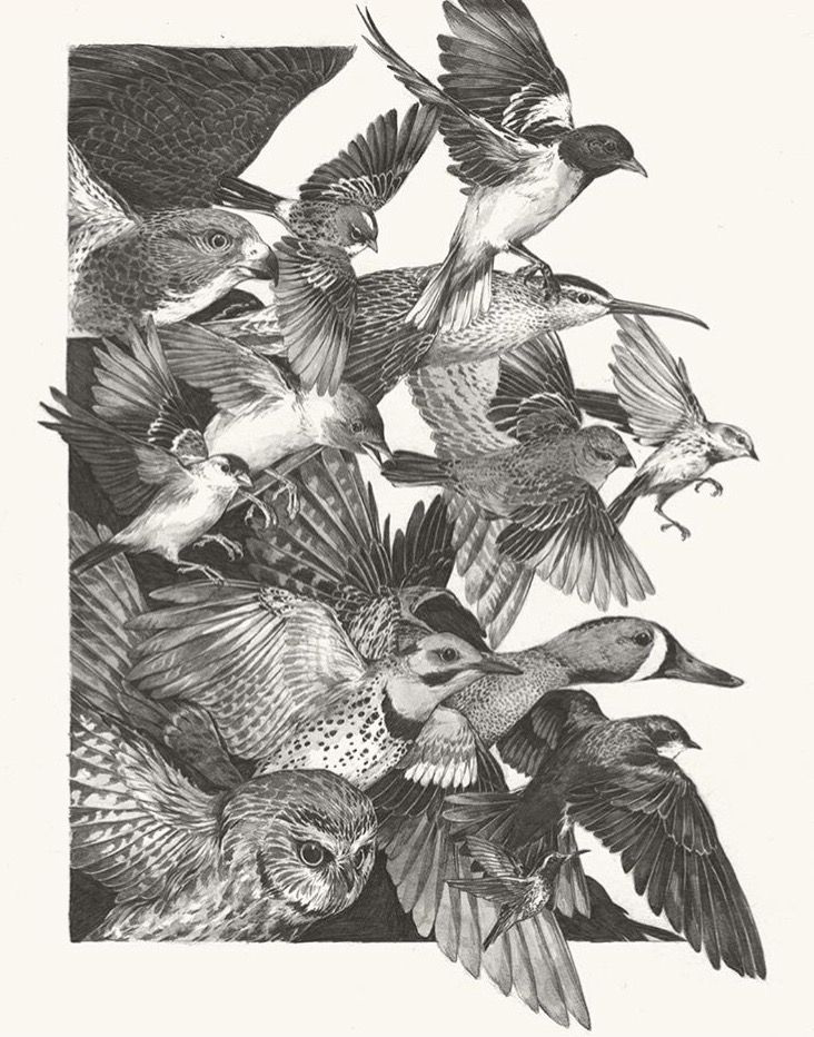 Shauna Howell tweet media