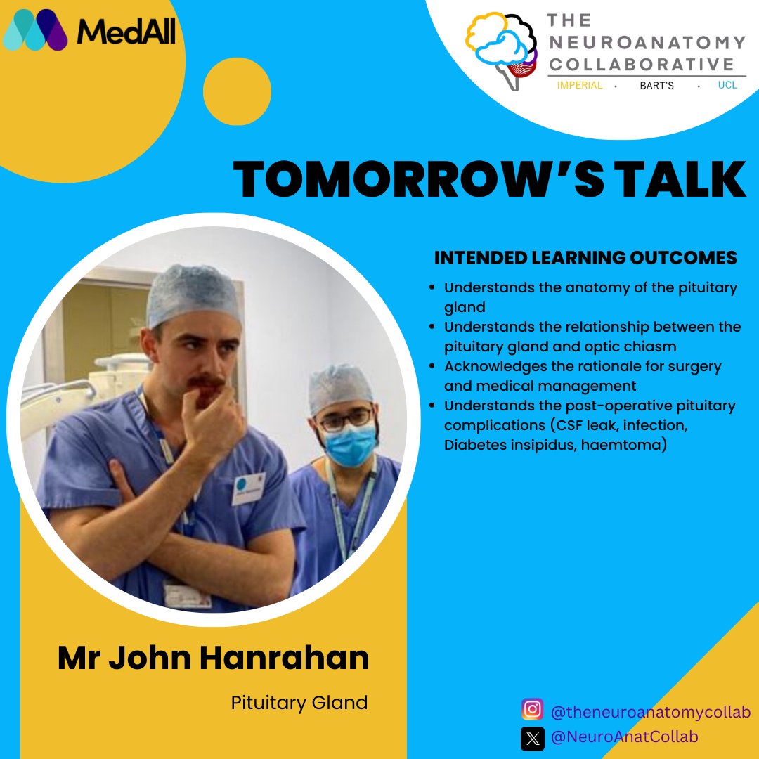 NeuroAnatCollab's tweet photo. ‼️ HAPPENING TOMORROW ‼️
Ensure, if you haven't already, to sign up for our 2025 teaching series. The link is in our bio 😃
Our fifth talk is about the pituitary gland🌟
#neuroanatomy #education #talk5 #pituitarygland https://t.co/xUqjx6Yee1
