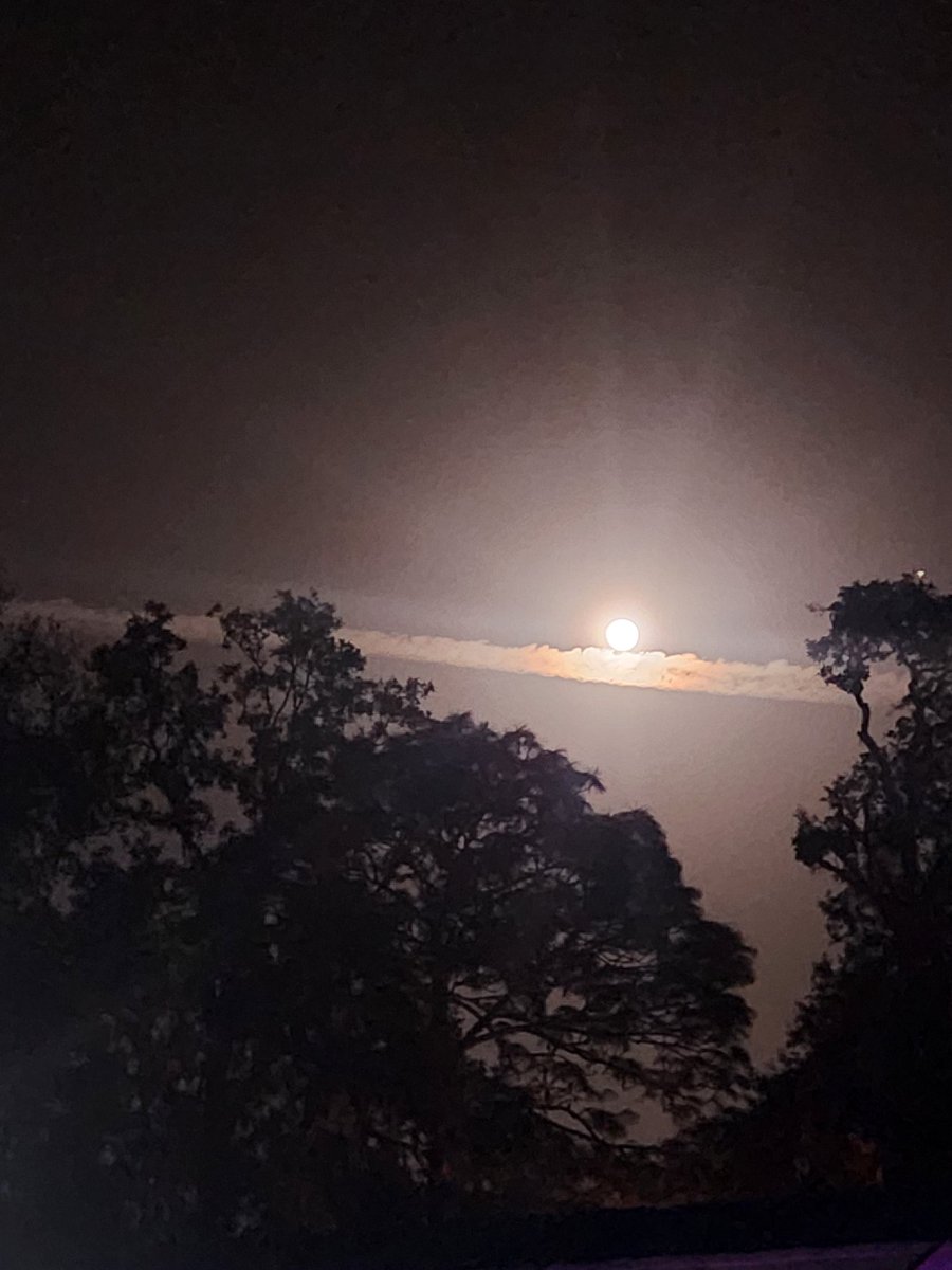 JoeBroyles111's tweet photo. @ninoboxer Spraying day and night here in Florida https://t.co/5vcOymuaqs
