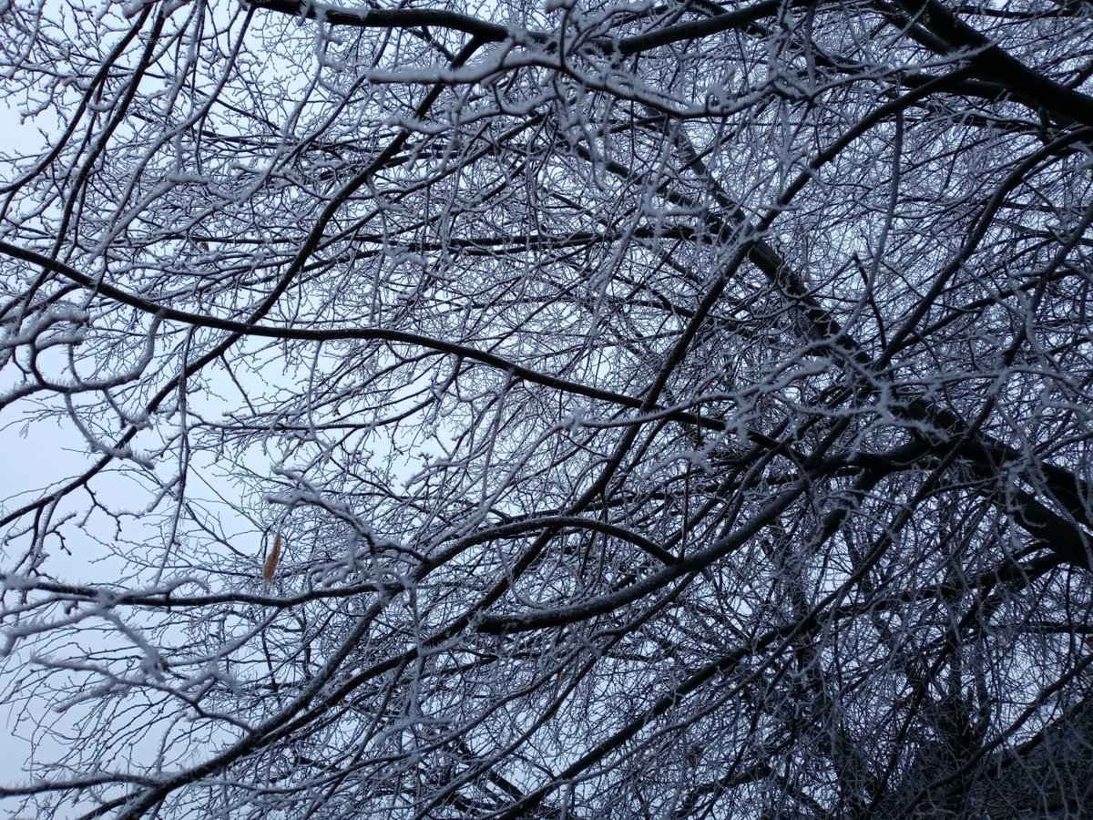 WHO  IS GOD? His name is Jealous. "You shall worship no other god, for the  Lord, whose name is Jealous, is a jealous God." Exodus 34:14 (ESV)